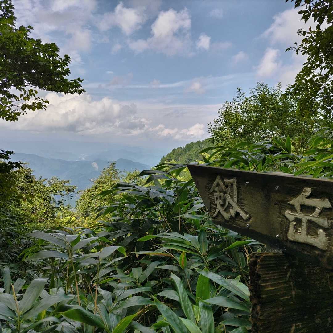 御坂峠-高賀山 往復コースの写真