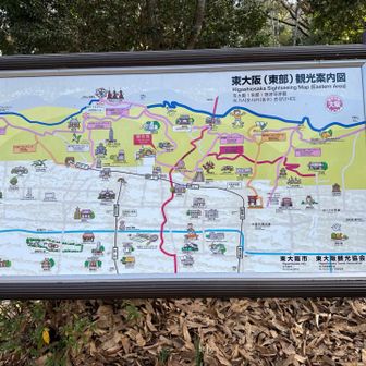 戻ってきました