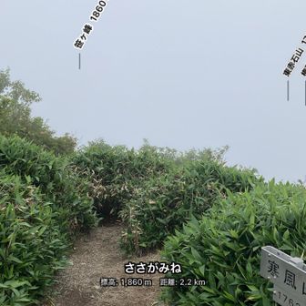 これから向かう笹ヶ峰
全く見えません😭