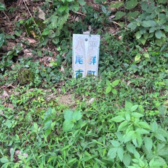激しい陣地争い