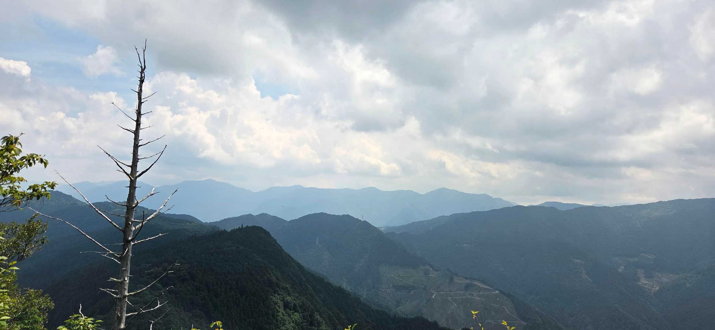 八面山-大野登山口 周回コースの写真