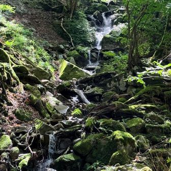 滝を見ながら下山