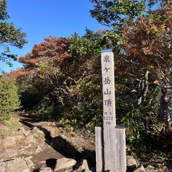泉ヶ岳頂上は展望なし。