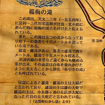 楊梅の滝についての説明

県下一の落差を誇ります。