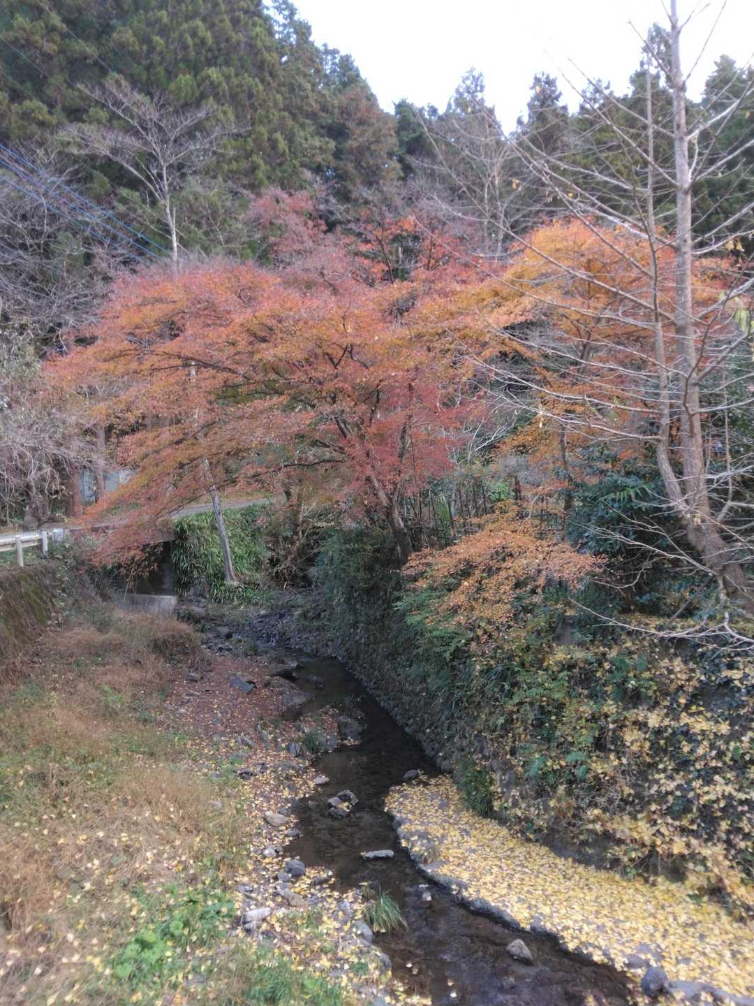 おしまい
