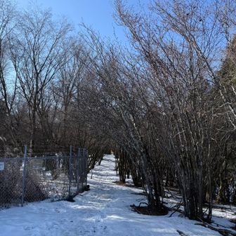 素敵なトンネルみたい✨