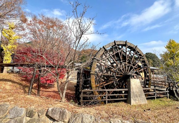 小町山（茨城・361m）| 登山ルート・天気 | YAMAP / ヤマップ