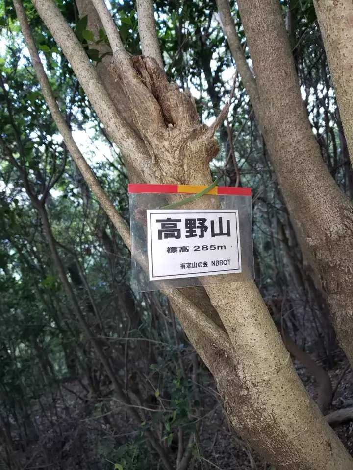 高野山の写真