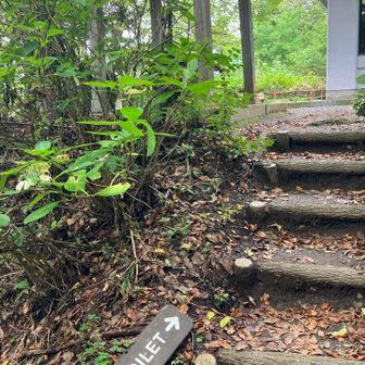 護国神社までおりてきました。
ハイキングコースと護国神社の参道とのバイパスの道には、トイレの標識が。落ちてるけど。