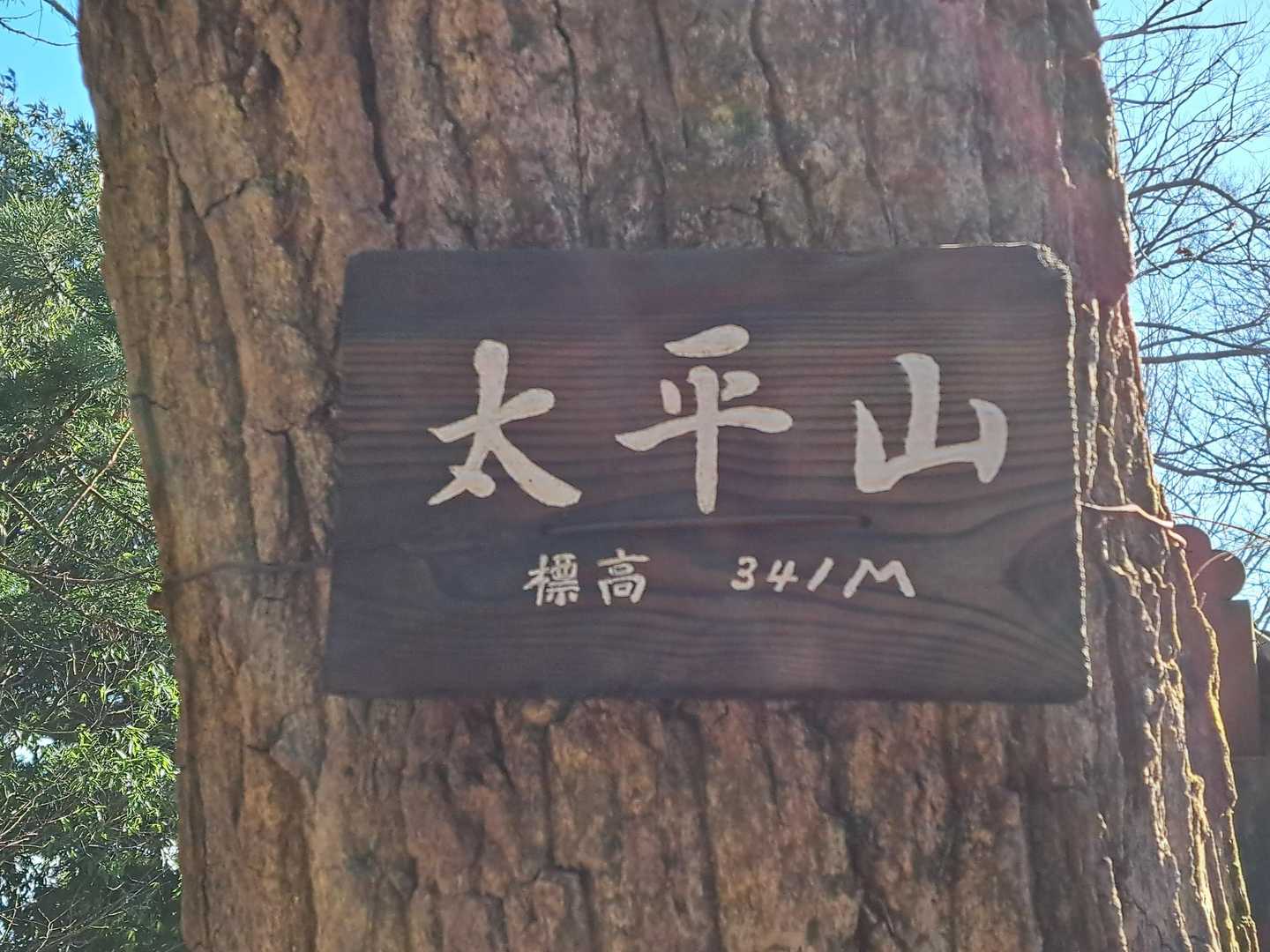 大中寺-太平山-ぐみの木峠 周回コースの写真