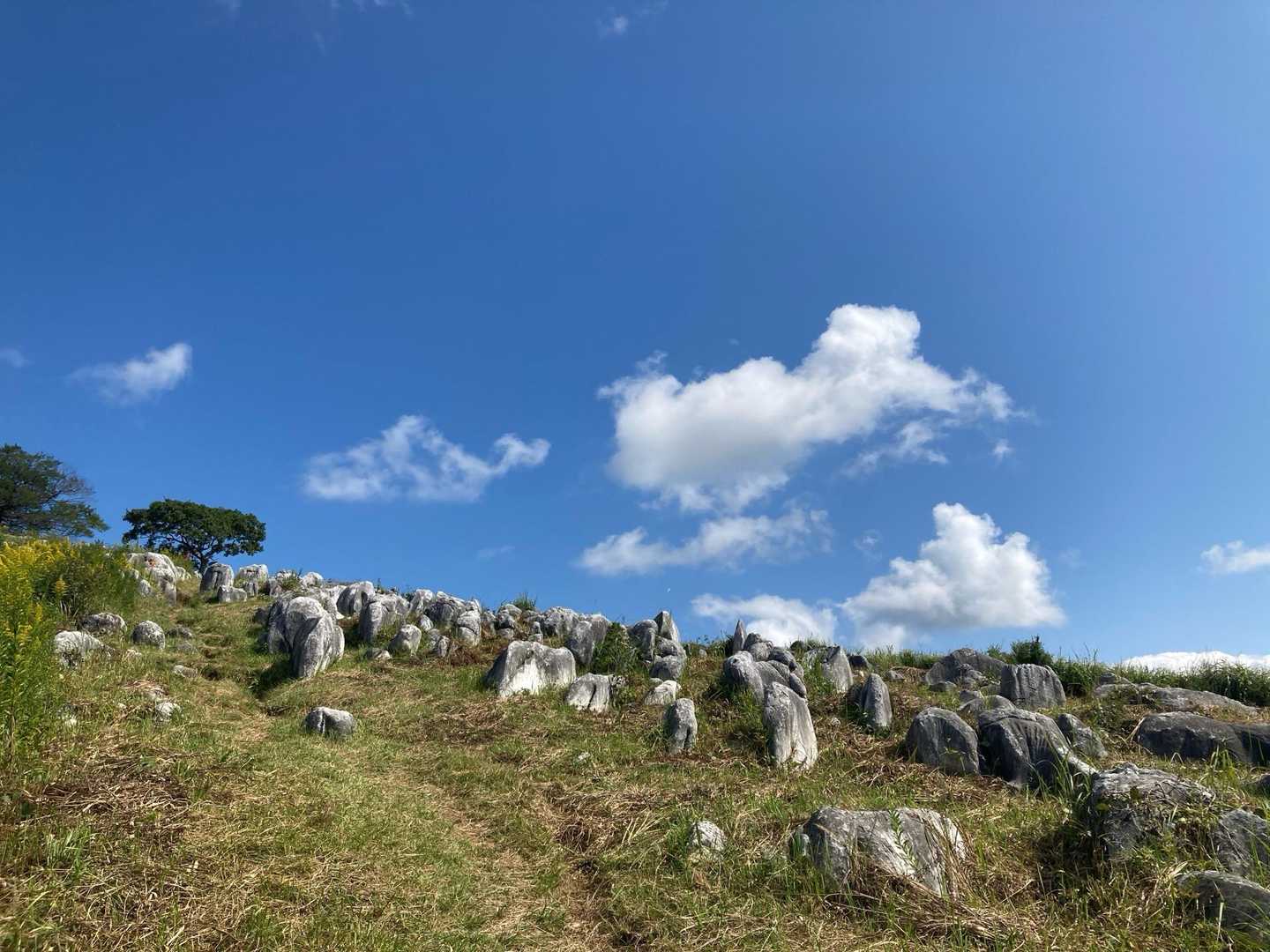 吹上峠-大平山 周回コースの写真