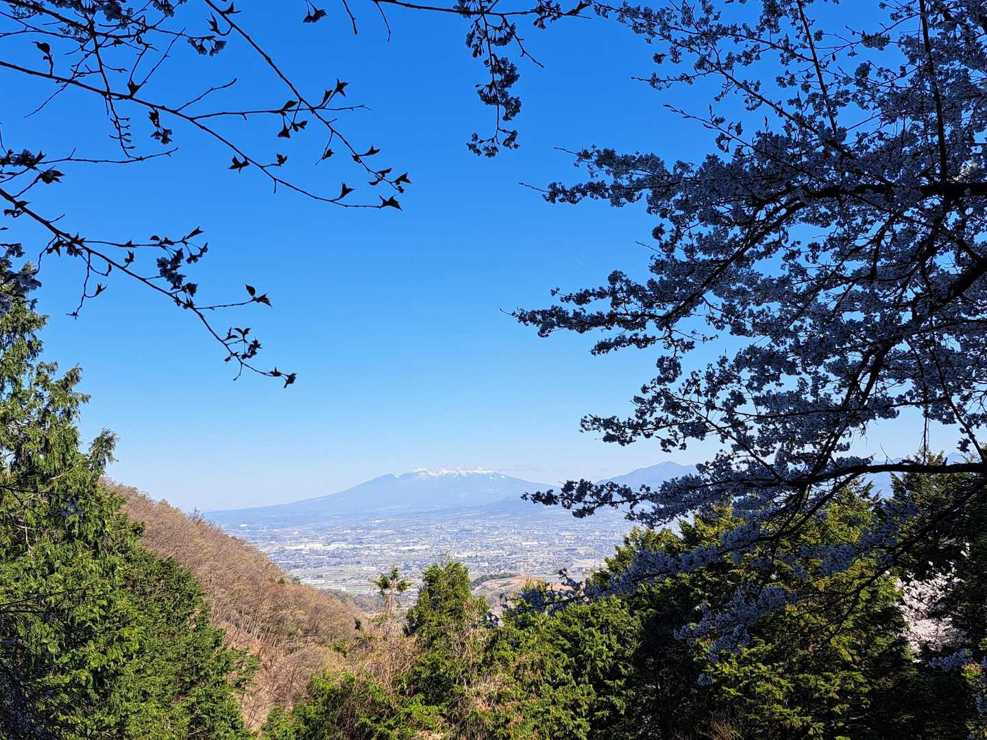 八ヶ岳に茅ヶ岳が見えました～🥰