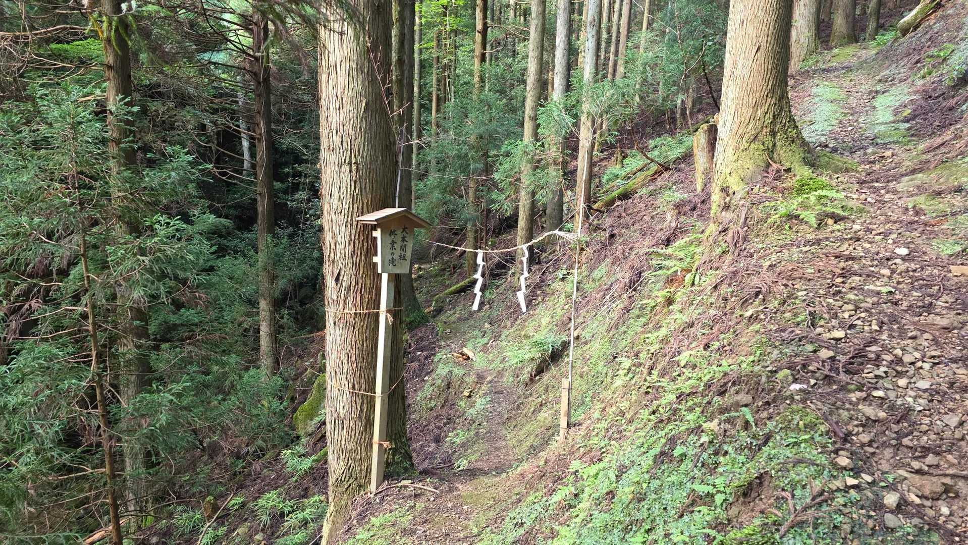 誰かが修行した滝があるみたいだけど、スルー