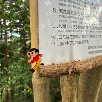 リトル飛び出し坊やを発見！