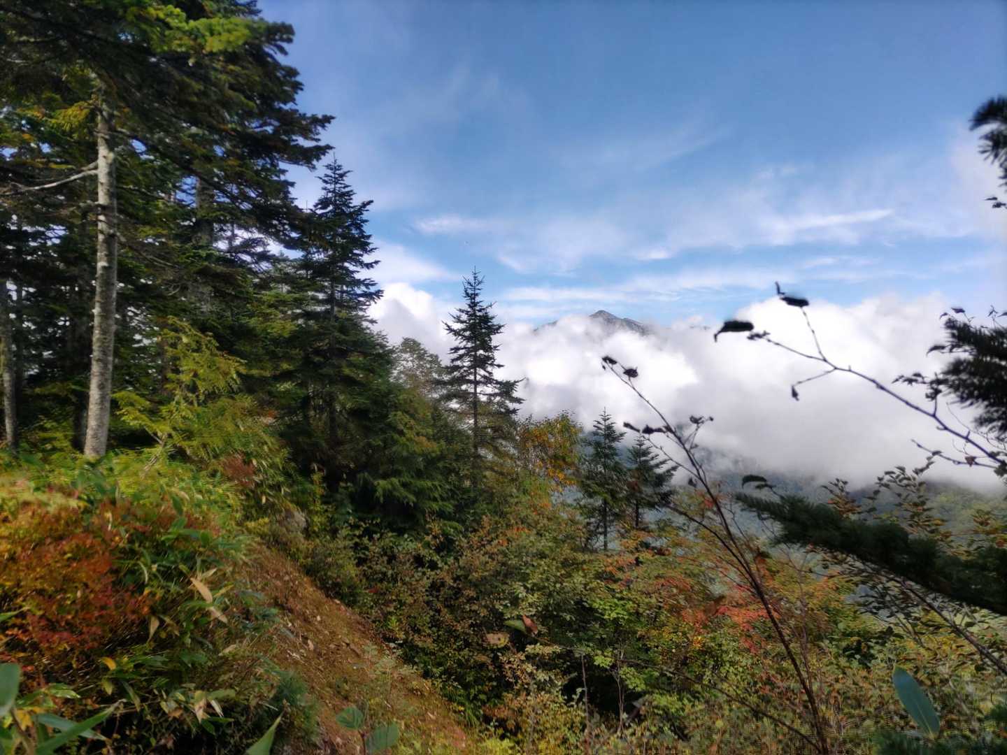 あ、晴天だ。なんかどこかの山頂ぽいのが一瞬見えてすぐ消えた