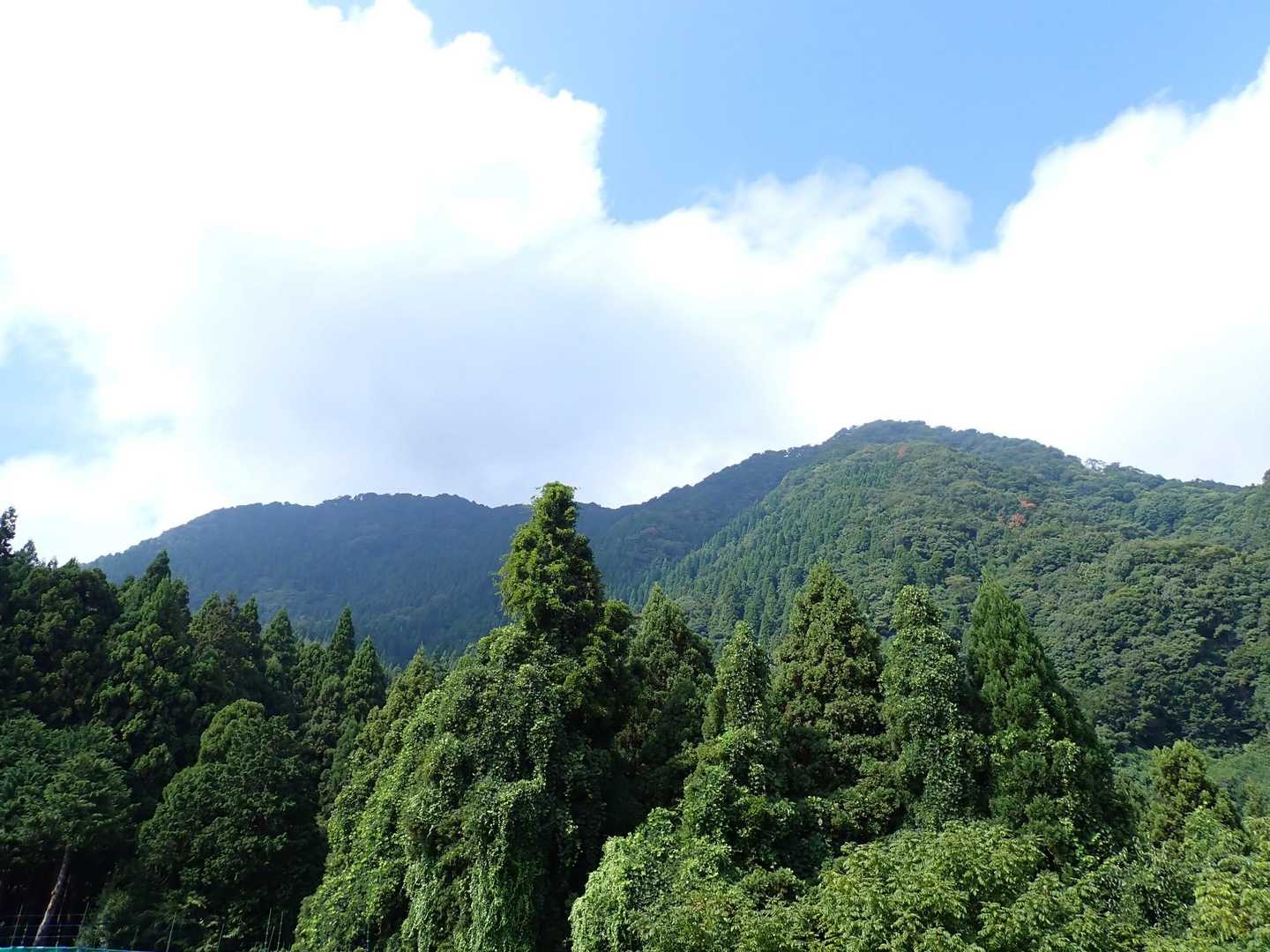 青葉山が見えます