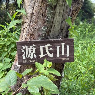 ようやく8座目の源氏山93mに着いた