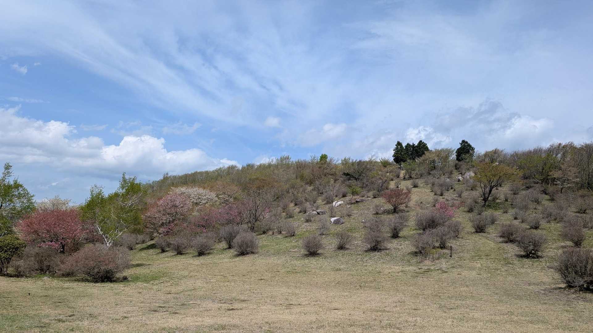 かつて小学校で運動会をするほどの山頂広場