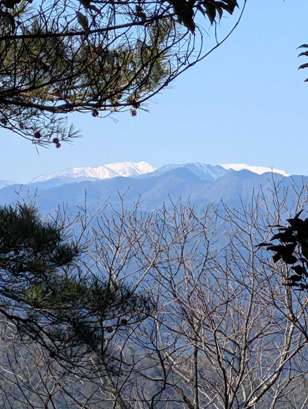 古城山 往復コースの写真