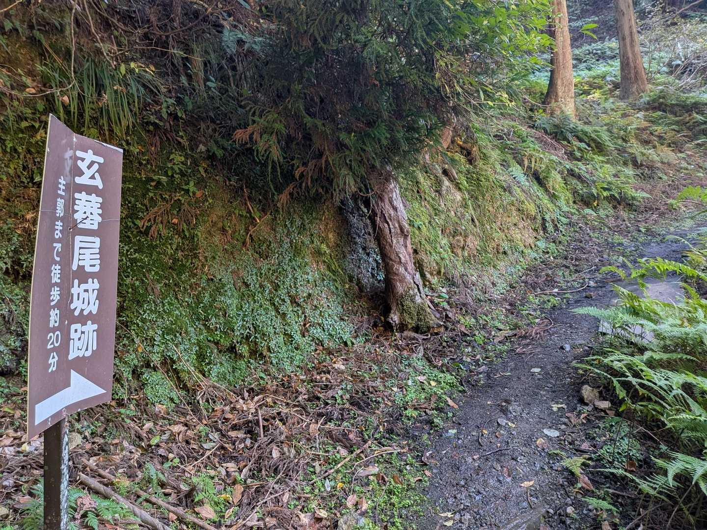 戦国ステーションから10kmほど北上した所にある、玄蕃尾城跡登山口🅿️無料(5〜6台)
ここからSTART