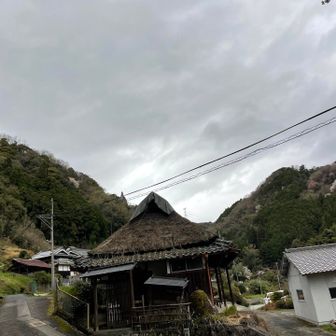 養叟庵の背後は中央構造線の横ずれ断層部？

手前は養叟（ようそう）が晩年居住した庵とか。あの一休さんの兄弟子で、どうも相性が悪い。できのいい一休さんの足下にも及ばず、いけずしてきたとか。が、このような住まいに居住していたのだとすると、必ずしも権力欲にとりつかれていたとは言いがたいかも。一休さん相手だと、悪者になるかもしれないが。

それはともかく、7～800ｍの高さで、まるでメサのように連なっている和泉山地・金剛山地がこの紀見峠で400ｍ近く両者とも落ち込んでいる。これが横ずれ断層だとか。その真偽はいつか吟味してみたい。
