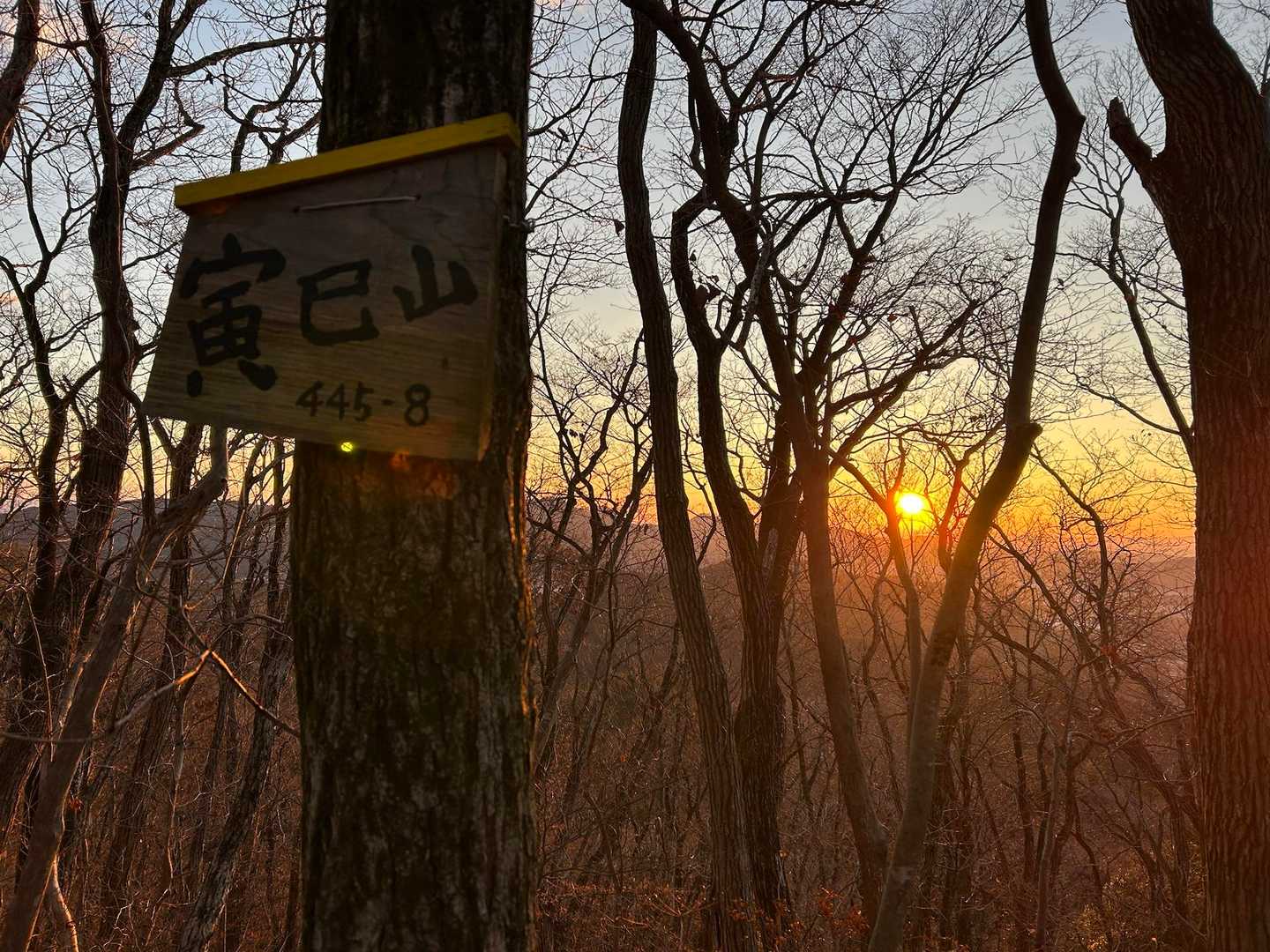 今年も健康でケガなく山登りができますように🌅
