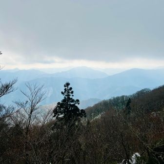 真ん中の山は、熊糞があった小五郎山💩
熊の冬眠しない説は嘘で、必ず冬眠はするそうです。この辺りでは猪狩りも行なっているそうで、あのトレースも猟犬だと信じたいところ🐾