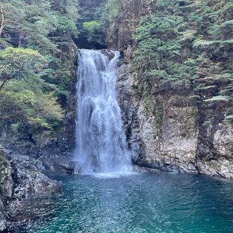 大杉谷メインの滝
堂倉滝
凄い迫力の滝に感動🥹