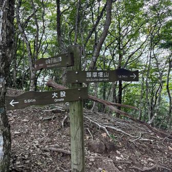 こんな看板多数有ります。