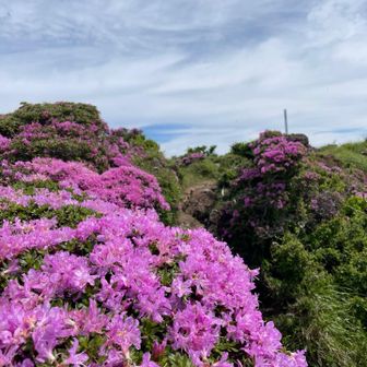 モリモリの先に西峰
