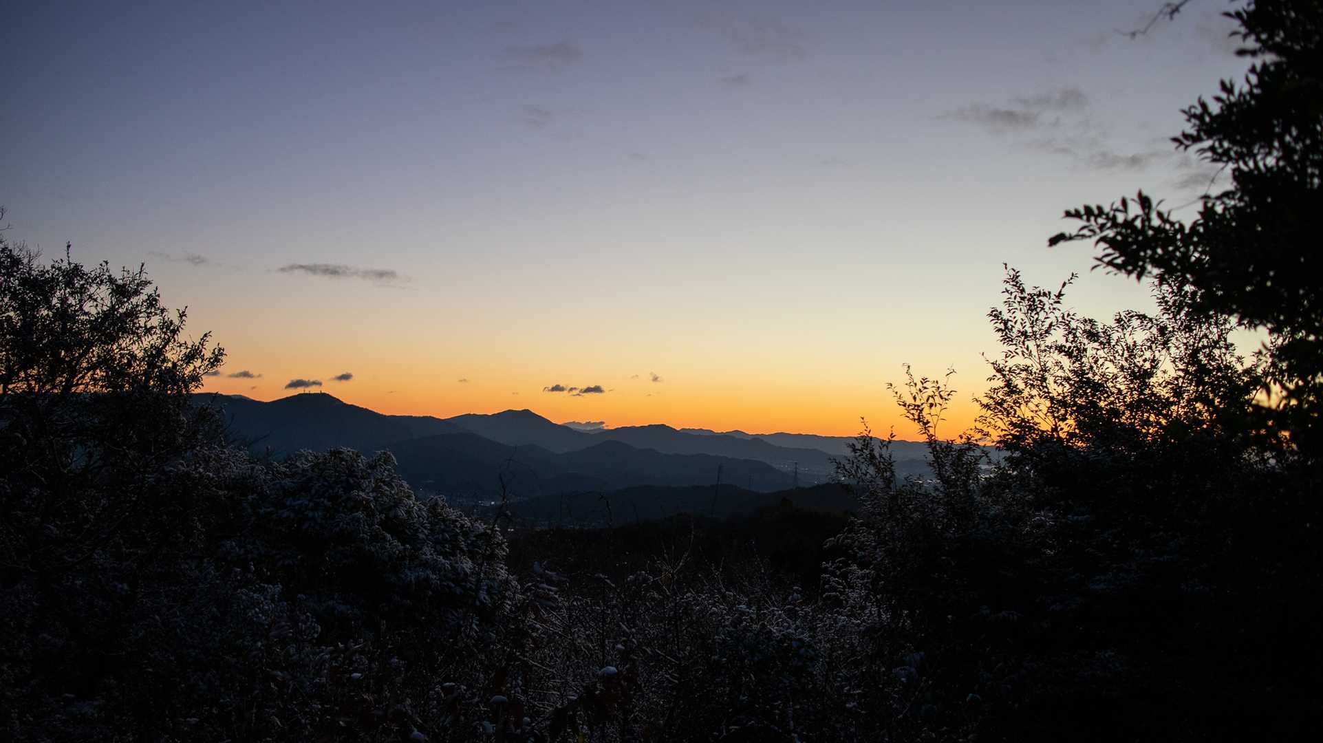 西茶臼山 周回コースの写真