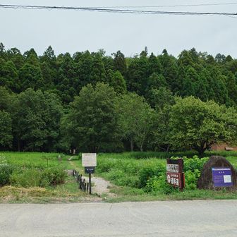 車で登っちゃいましたがこちらが登山口になります。