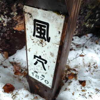 天然クーラ