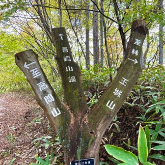 素晴らしい案内🪧ですね👀✨❣️

アイデア最高👍