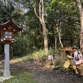 参道の途中に登山口