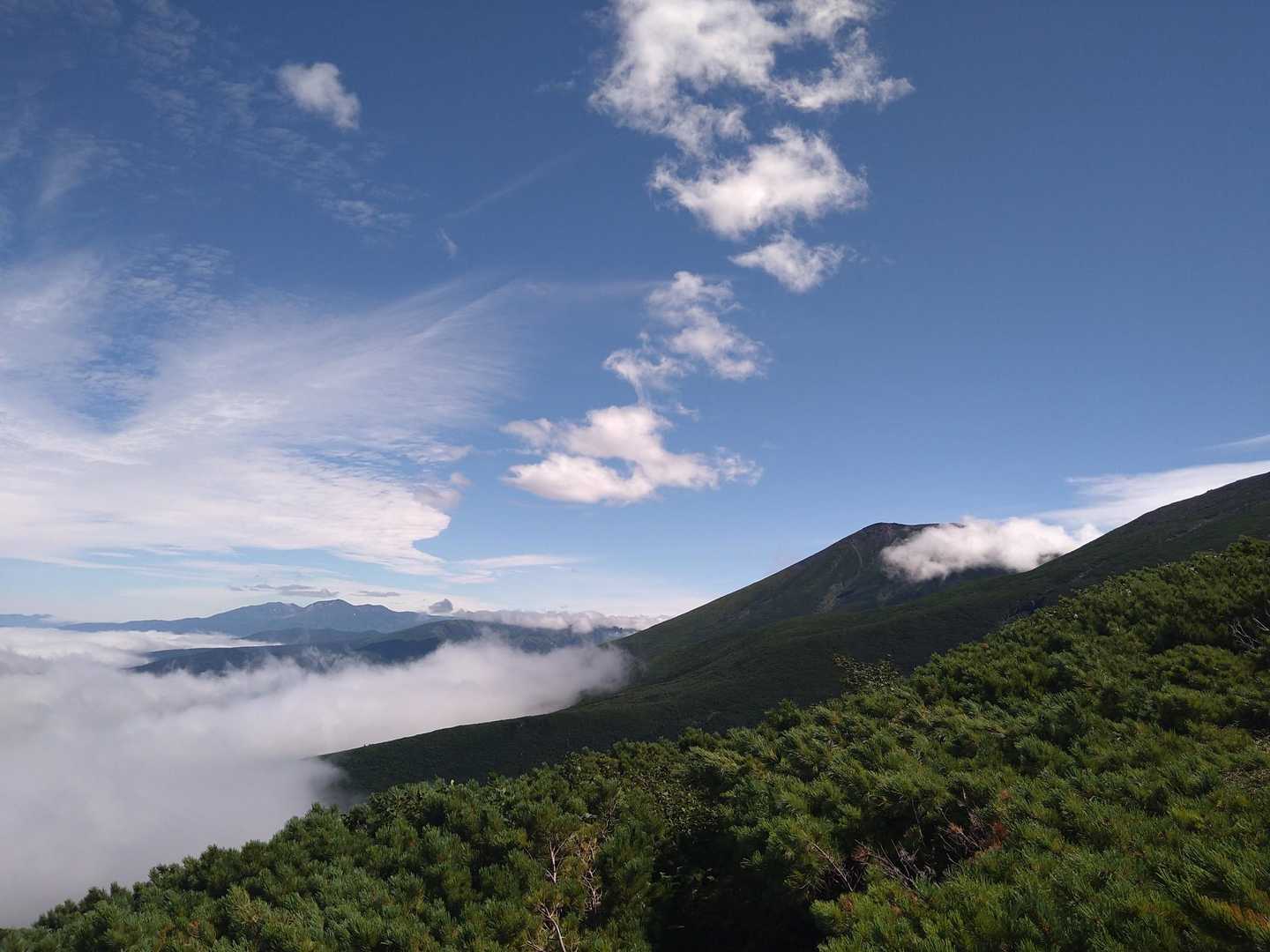 望岳台登山口-美瑛岳 往復コースの写真