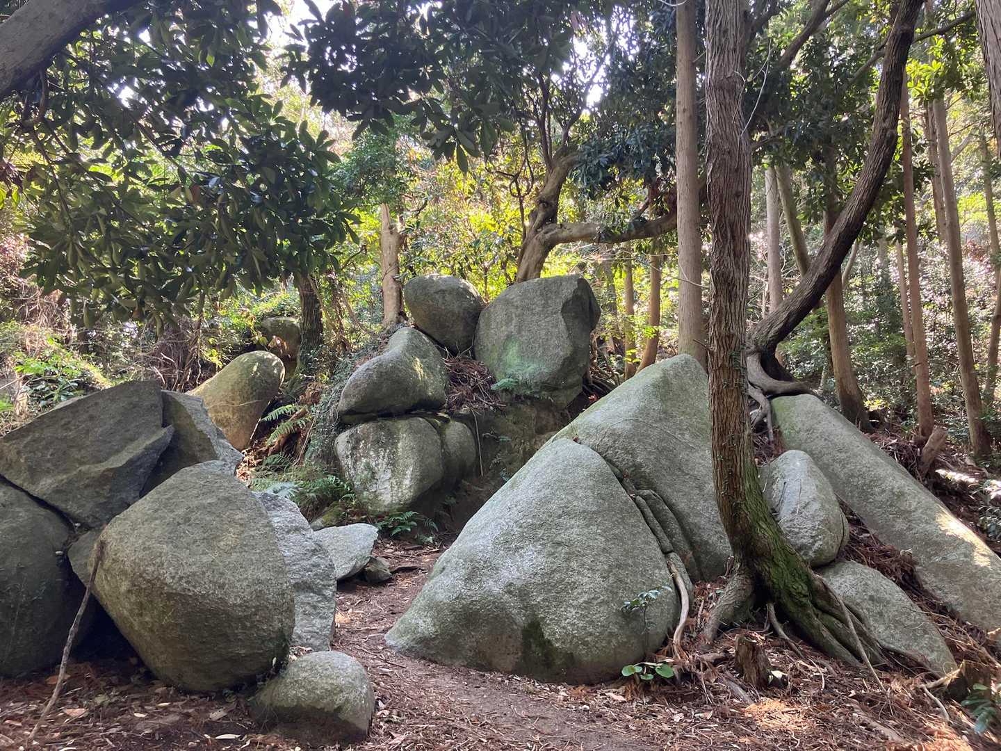 登山道には岩がたくさん