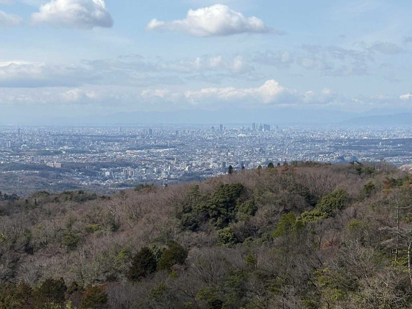 元岩巣山 縦走コースの写真