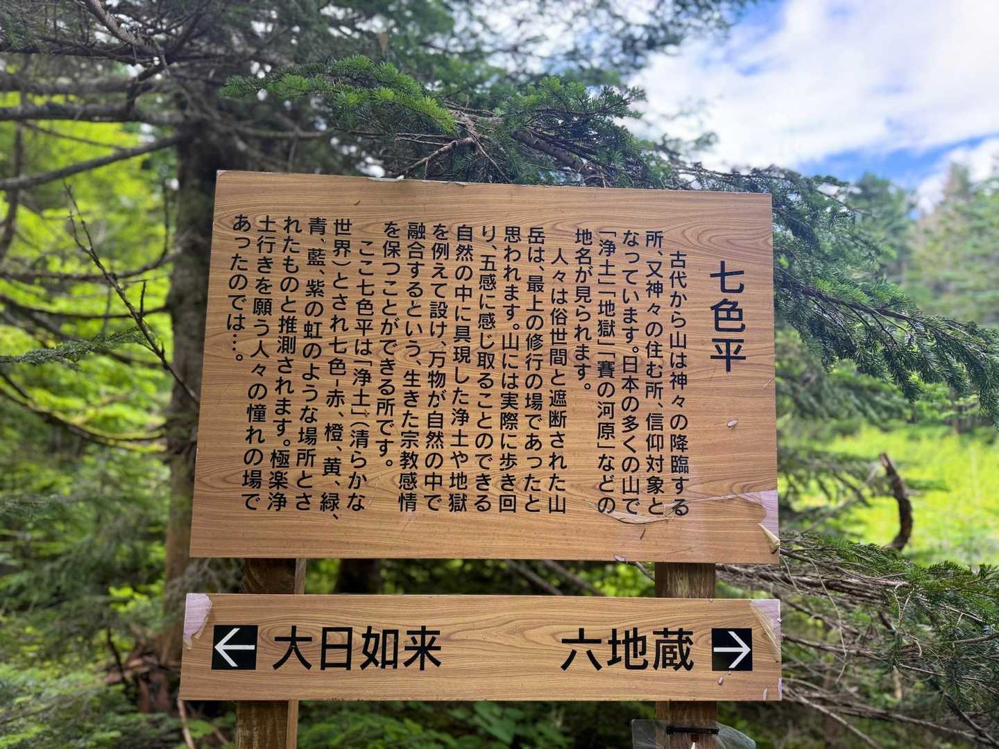 ふむふむ☺️