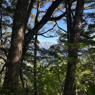 大凪山越えたところから蓮華🪷
ここからは傾斜も緩み、ザレもなくかなり歩きやすくなる