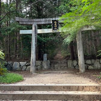 戻りました。もみじの緑がキレイ。紅葉の時期にまた来たいな。