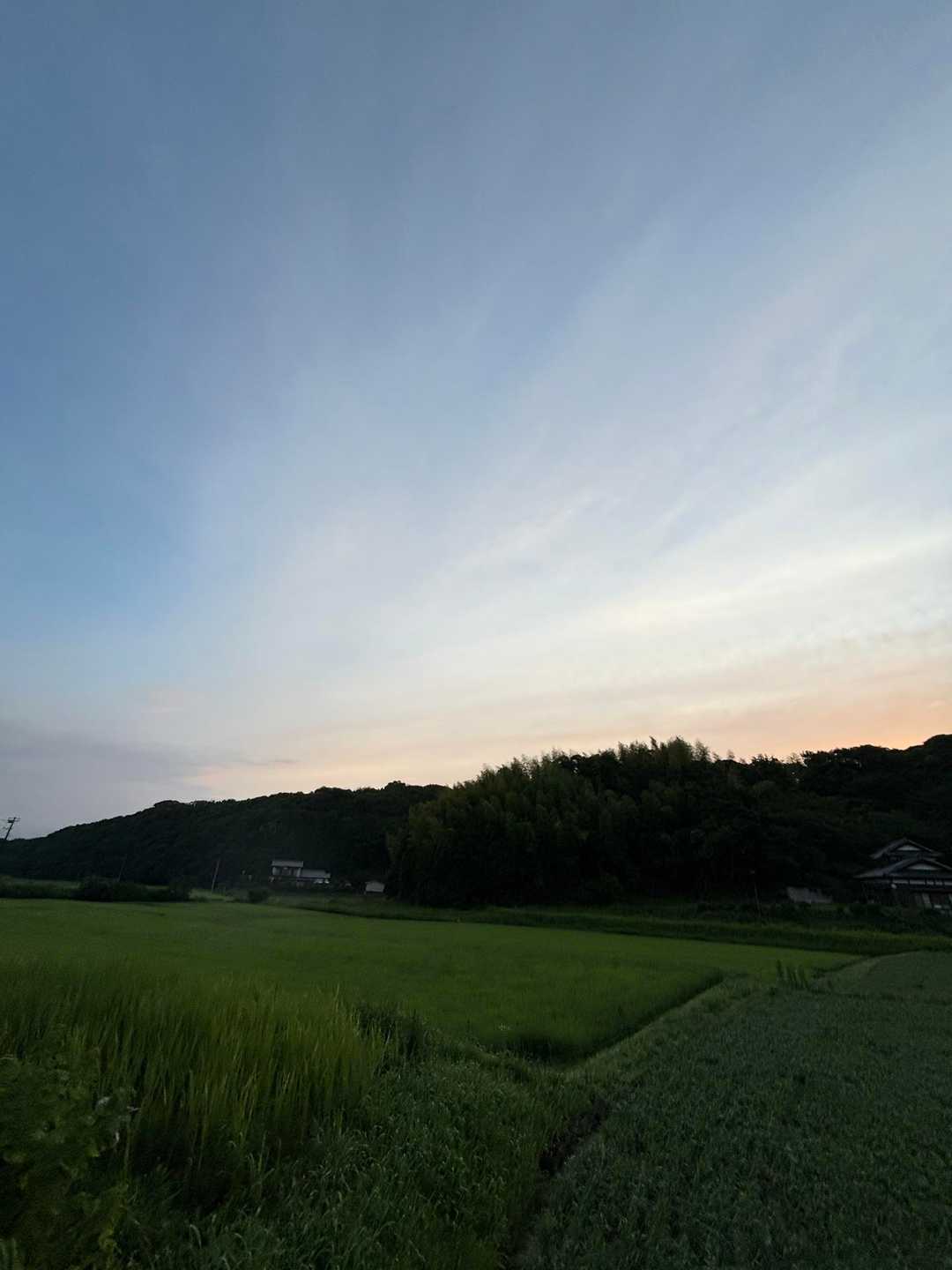 三舟山 周回コースの写真