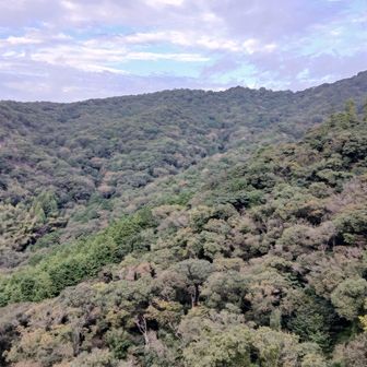 駐車場から小茶臼間は急登エリアなんだね。最後に山を見渡すと秋の気配。