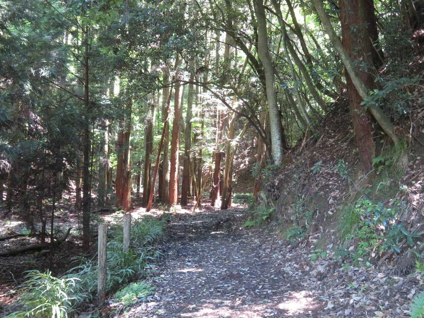 ええわ〜。
風が吹き込んでいてちょっと涼しいです。ええわ〜。
