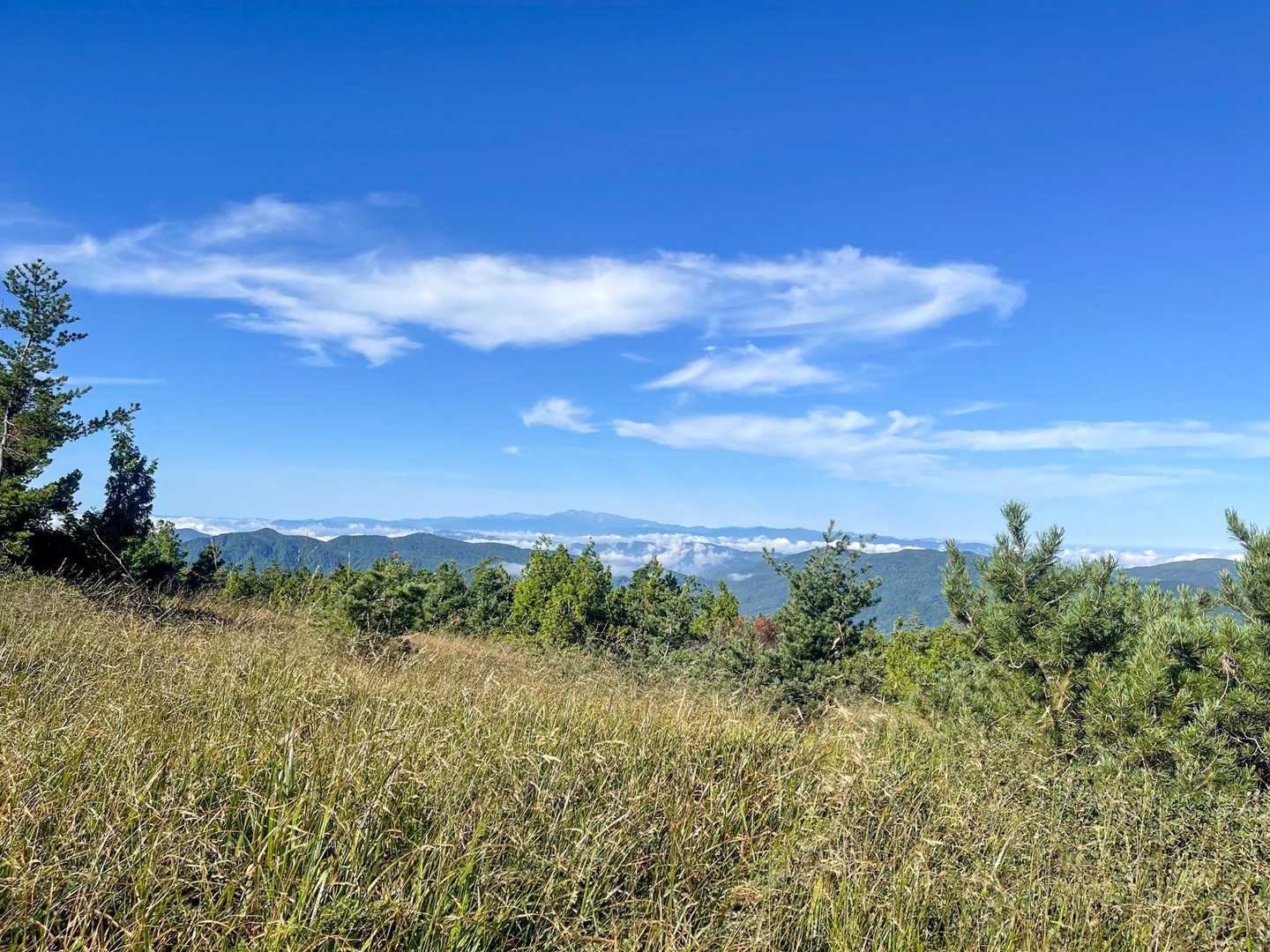 白山も見えました☺️白山未踏なのでとても行きたいです⛰️🌸