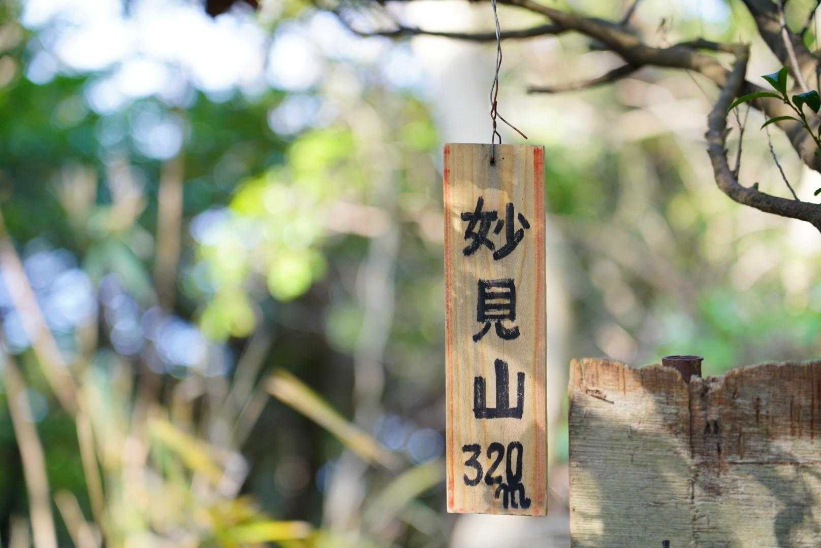 博智山-妙見山 往復コースの写真