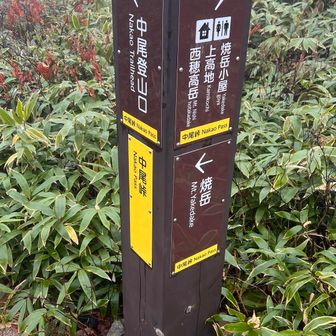 友人の車は沢渡に置いてある🚗
せっかくだから上高地行きたい、と言う事で焼岳小屋向かいました🚶‍♂️‍➡️