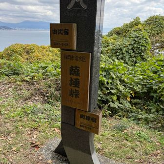 薩埵峠、到着‼️

南北朝時代には、足利尊氏と足利直義の戦いが、戦国時代には、武田信玄と今川義元/北条氏政の戦いがあった場所。