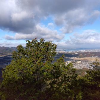 です！琵琶湖が見えますね〜北の方はまとまった雪はまだ降っていそう