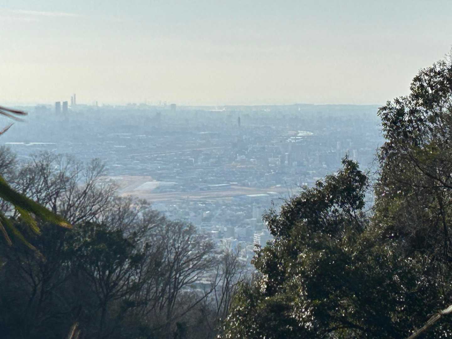 堅下駅-高尾山-恩智神社-恩智駅 縦走コースの写真